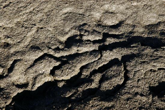 mudscape